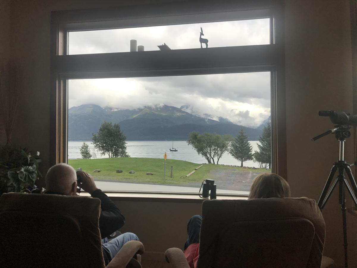 Seward Front Row Bed And Breakfast Eksteriør bilde